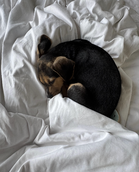 Patrick sleeping